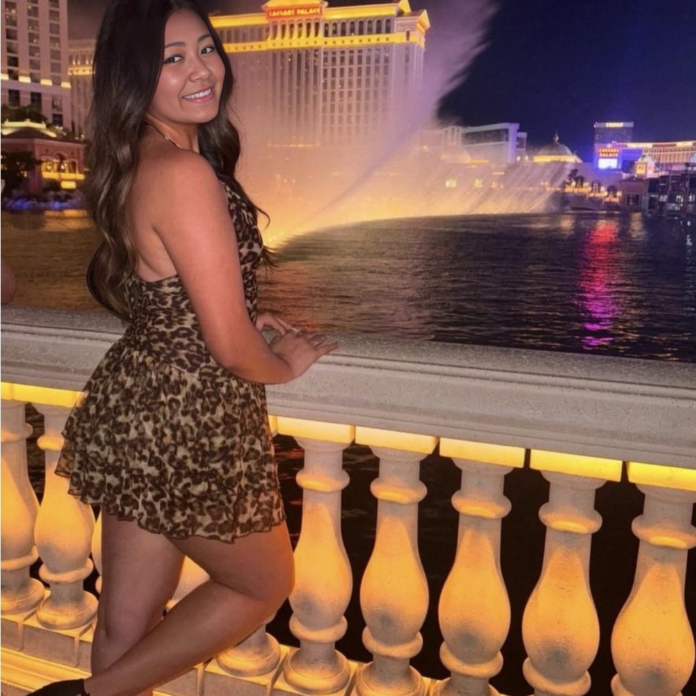 Windsor mini dress